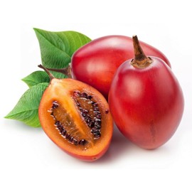 EdenWilds 10+ Red Tamarillo Seeds ~Solanum becateum~ Cyphomandra becatea ~ Tree Tomato
