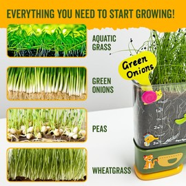 Gardening Root Viewer for Kids - Planting Kits with Seeds & Garden Supplies - Grow Your Own Seed - Home & Classroom Science Stem Learning - Plant Growing Spring Farm Toys & Gifts for Ages 6 Up