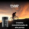 DUMO LABS | Creatina Monohidratada de Alta Pureza en polvo