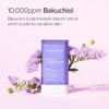 Mary&May [Mary&May]Vegan Peptide Bakuchiol Sun Stick SPF50+ PA++++