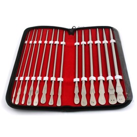 OdontoMed2011® New German Grade Stainless 14 Pieces Set of DITTEL Sounds ODM for Students' Educational Purposes.