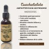 Botiquín Ancestral Microdosis De Cuachalalate Orgánico 30ml