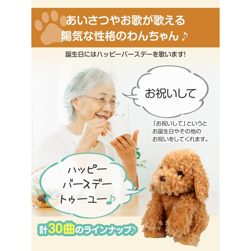 Adult-oriented Voice Recognition Plush Toy 【Talking Toy Poodle】 Easy to