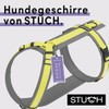 STUCH Dog Harness - Adjustable Nylon Harness - Padded -