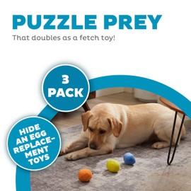 Outward Hound Squeakin' Eggs Plush Replacement Dog Toys - 3 Pack