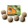 Yellow Door Roll Around Nature |Six Wildlife Playdough Roller Balls