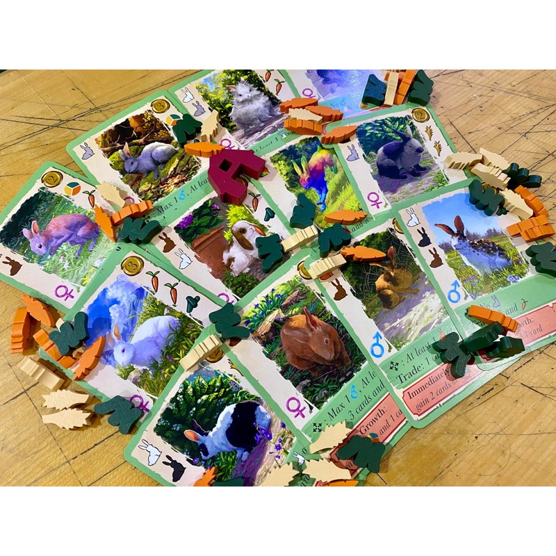 LITTLE ROCKET GAMES CONEY Board Game in Italian