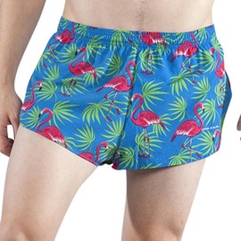 BOA Mens Stretch 1" Elite Split Printed Running Short (1000SWP)(Flamingo Turquoise, X-Large)