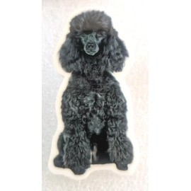 Poodle Dog Black Sitting Gorgeous Flat Acrylic Pin Tac Jewelry
