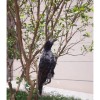 Etistta 17 inch Realistic Hanging Dead Crows Decoy Lifesize Extra