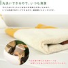 Rivere My Neighbor Totoro Cat Bath Nap Blanket Towel Blanket
