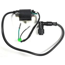 Unbranded Ignition Coil Coolster 125cc ATV's 3125C-2 + more