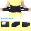 Posture Therapy Lumbar Brace Belt Lower Back Brace with Support