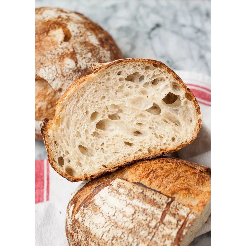 Heritage Sour Sourdough Starter DEHYDRATED Heritage 100+ YRS OLD San