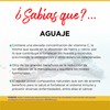 AGUAJE PERUANO 100 CAPSULAS TECNONATURA