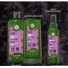¡NUEVOS Shampoos Yves Rocher! Nueva formula y nueva presentación (Shampoo