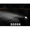100w Super White 1 Pair of Xenon Fog Light Bulbs
