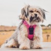 Voyager Dog Harness Dual Leash Attachment No-Pull Control Adjustable Soft