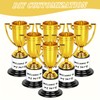 BTBHIHO 6PCS Mini Trophies Bulk for Kids, Premium Lightweight Plastic