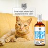 Cat Wound Care Spray with Silver – Wounds, Rashes, Hot