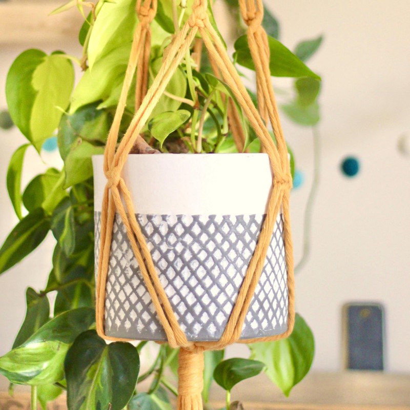 Piglet&Chestnut DIY Plant Hanger Kit, Macrame Beginner Kit, DIY Craft