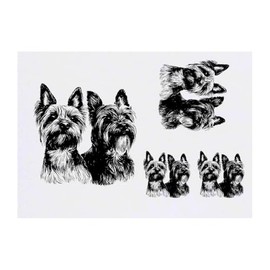 4 x 'Two Yorkshire Terriers Portrait' Temporary Tattoos - Water Resistant, Skin-Safe, Non-Toxic Transfers, Mixed Sizes (TO00084112)