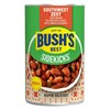 Bush's Best Southwest Zest Pinto Beans, 15 Oz (Pack of