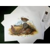 Don Balke BOBWHITE QUAIL (Masterpiece-1
