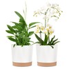 kubvici kubvici 2 Pack 8 Inch Planters for Indoor Plants,