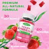 Omega-3 Gummies Potent Algae Omega Source, Boost Brain, Eye &
