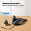 PORLEI Wired Trackball Mouse for Large Hands, Ergonomic Design Reduces
