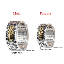 Buddha & Karma Feng Shui Pi Xiu Mantra Ring for Positive Vibes – Adjustable Wealth & Protection Ring for Abundance & Success- Stainless Steel Charm Rings for Energy Balance & Spiritual Strength -Women