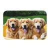 YAGEZI Golden Retriever Dogs Puppies Pets Indoor and Outdoor Door