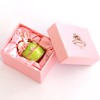 [pixia-su] PIEARTH jewelry box, Rabbit and Cherry (Green) ex456 –