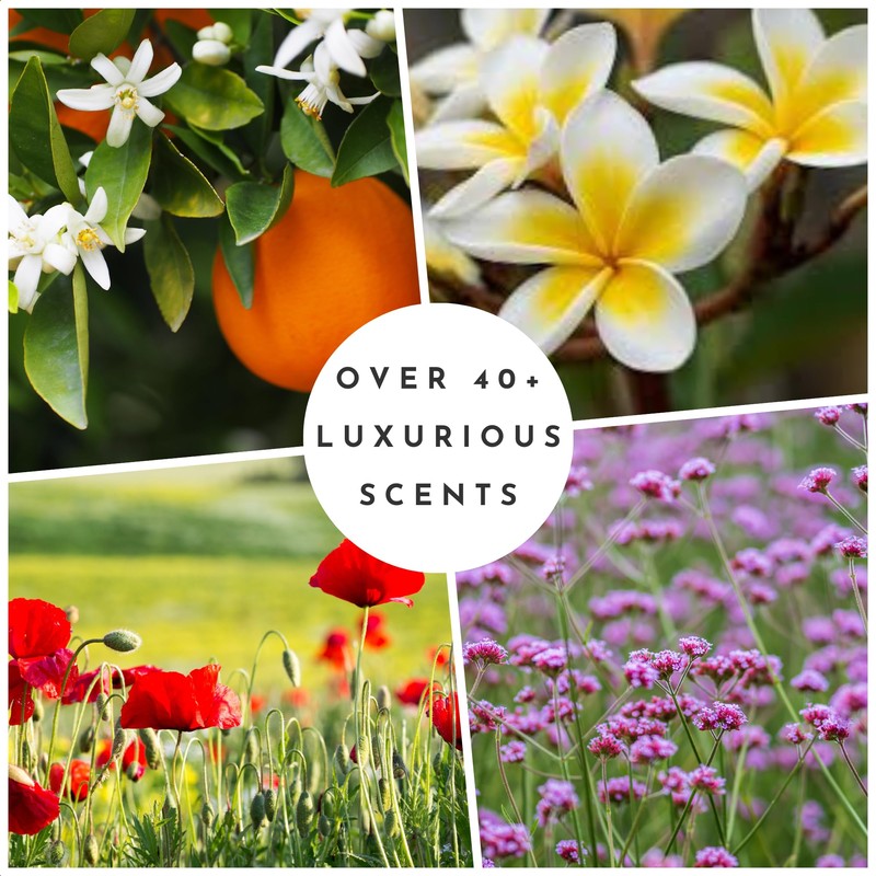 Verbena Body Dry Oil 100 ml Durance