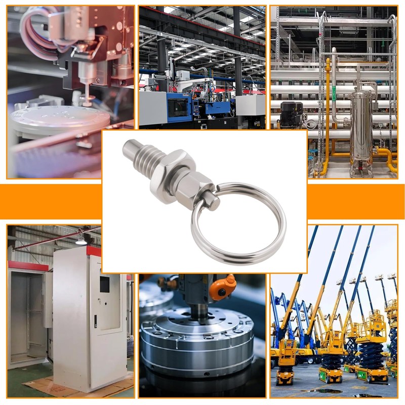 EMSea 4-Piece Spring Plunger with Pull Ring M6 Quick Release