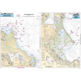 Inshore Cohasset to Manomet, MA - Laminated Nautical Navigation & Fishing Chart by Captain Segull's Nautical Sportfishing Charts | Chart # DS112