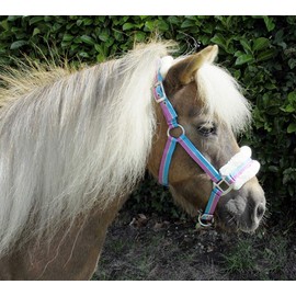 Rhinegold Bright Striped Fur Trim Small Pony Headcollar Turquoise Stripe
