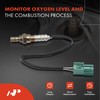 A-Premium - Sensor de oxígeno O2 compatible con Nissan Murano