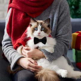 CATOR Pack of 2 Ultra Soft Natural Cotton Cord Collar for Cats with Sensitive Skin, Lightweight Kitten Collar with Quick Release and Removable Bow