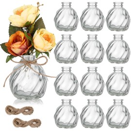 Baderke 12 Pcs Bud Vases for Flowers Small Glass Vases Bulk with 24 Pcs Jute Strings, Mini Clear Glass Bottles for Wedding Centerpieces Party Table Decoration Home Decor Floral Arrangements