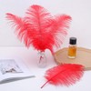 Ballinger Red Ostrich Feathers Bulk - 24Pcs 8-10inch Feathers for
