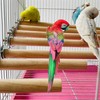 Allazone 7 PCS Natural Parrot Perch Bird Stand Fork Parakeet