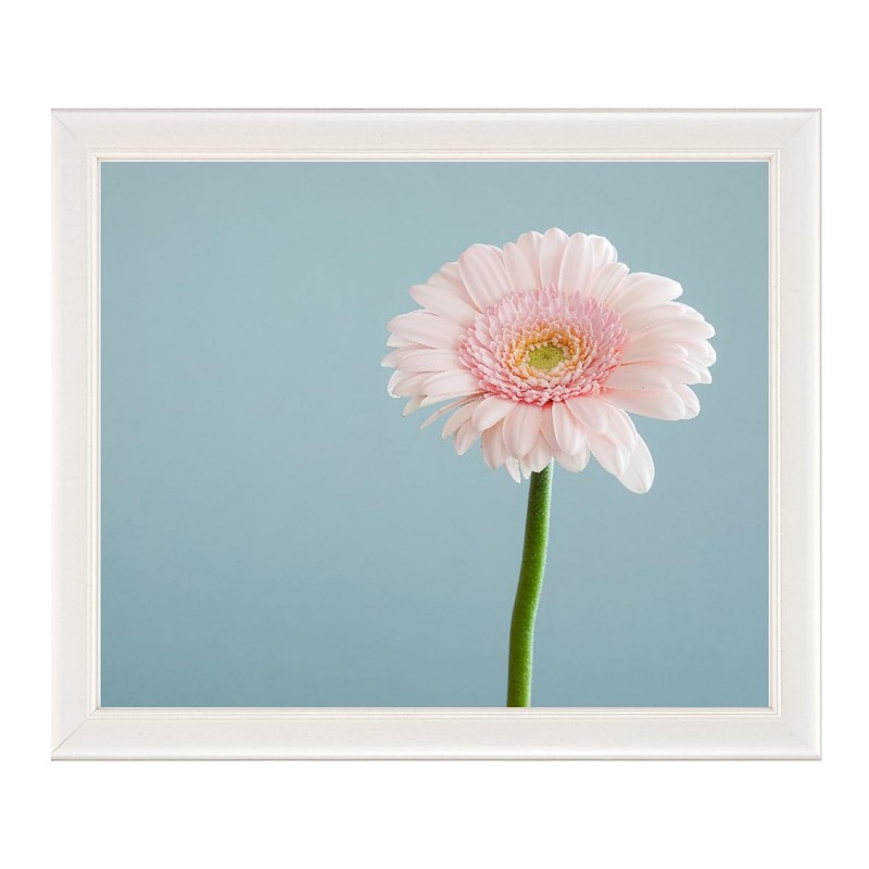 Large Drawing Frame 5590N Yatsugi Cut Pearl White UV Cut