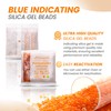 Adsorbco Rechargeable 200 Gram 2 Packs Desiccant, Indicating Silica Gel