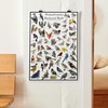 Where's Wildlife Pennsylvania's Backyard Birds Poster - Pennsylvania Bird Chart