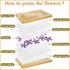 Pumtus Large Flower Press Kit, 6 Layers 11" x 7"
