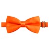 Alizeal Pre-tied Boy's Bow Tie Fancy Plain Adjustable Bow ties,