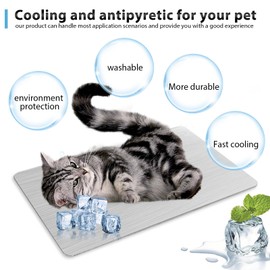 Sporgo Kühlmatte für Haustiere: 30x20cm Kaninchen-Kühlkissen, Aluminiumlegierung Kühlplatte Sommer-Eisbett für Meerschweinchen, Hamster, Kaninchen Andere Kleine Haustiere