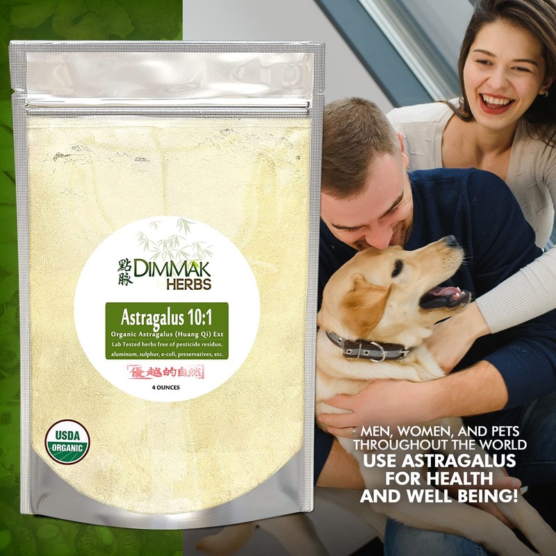 Dimmak Herbs Organic Astragalus Root Extract 10:1 Powder (Ultra Potent